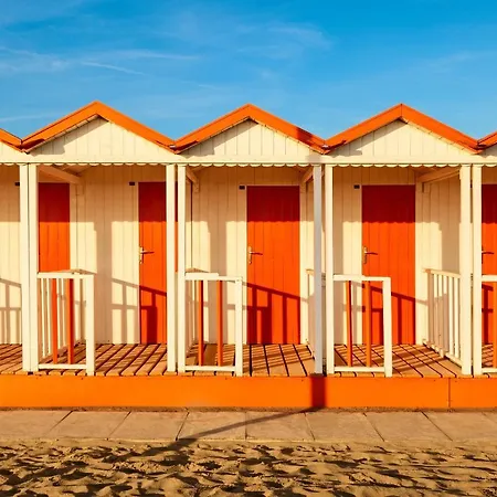 La Casina Al Mare Vista Pineta Apartment